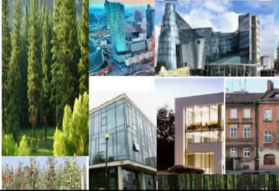 Rzeczoznawca Majątkowy Beata Gregorczuk